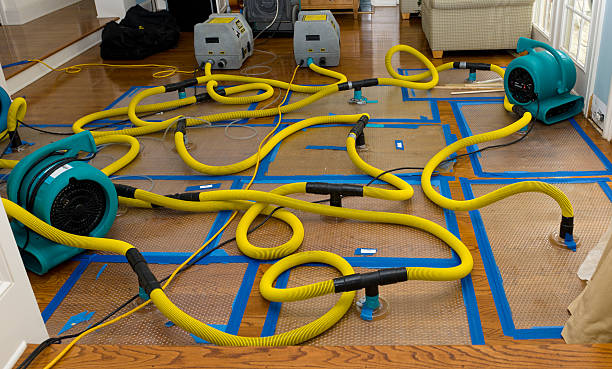Professional Water Damage Restoration technician working in Swarthmore, PA
